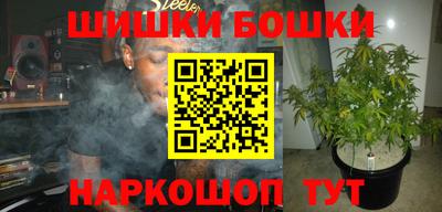 индика Лесосибирск