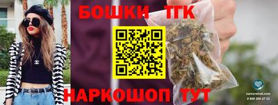 индика Лесосибирск