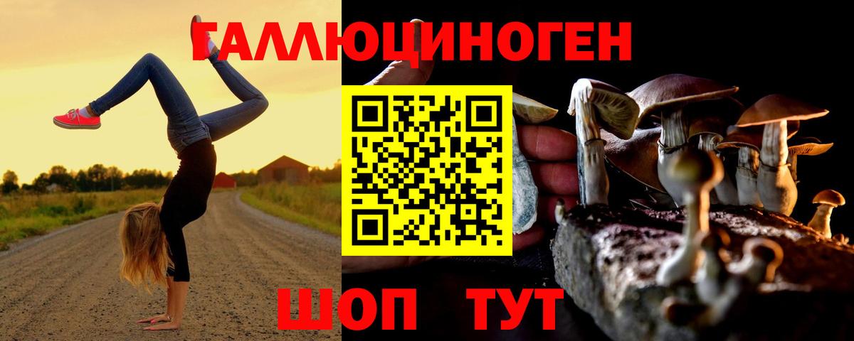 Галлюциногенные грибы Cubensis  Вход с VPN  Зеленокумск 